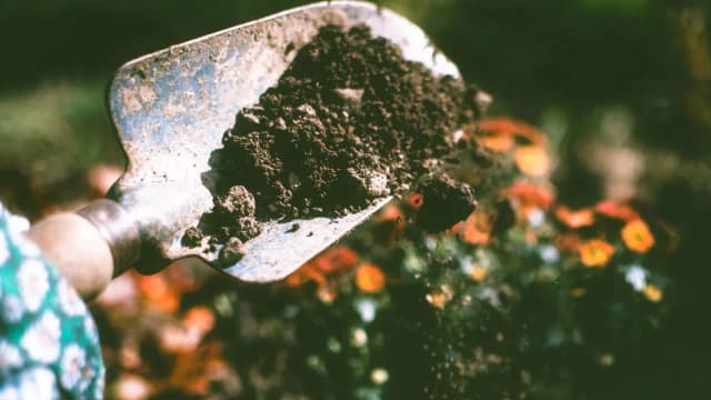 Gdzie zbadać glebę? Sprawdź najlepsze miejsca i metody analizy Gdzie zbadać glebę? Sprawdź najlepsze miejsca i metody analizy