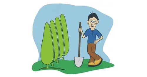 Jak głęboko sadzić tuje, aby uniknąć błędów i zapewnić zdrowie roślin? Jak głęboko sadzić tuje, aby uniknąć błędów i zapewnić zdrowie roślin?